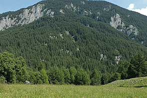 Участок земли в районе Вич, Рудник, в Любляне