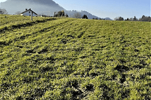 Земельный участок для инвестиций в Верхних Гамельнях