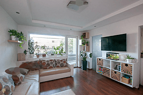 Трехкомнатная квартира Шишка