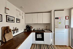 Апартаменты, однокомнатное помещение, Любляна, Шишка