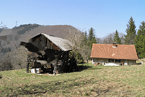 Мария Река, владение фермы.