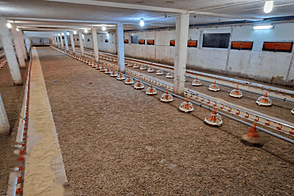 Дом, хозяйство Лапорье, Фаровец - рядом со Словенской Быстрицей