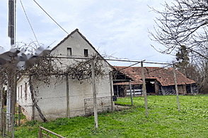 Петишовци, дом