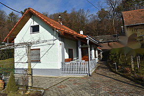 Франковци, дом.