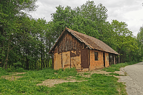 Жилище, друга Чагона