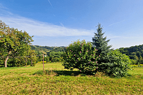 Дом, ферма Песница возле Марибора, Драгучова