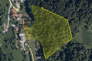 Дом Кметия Полшник 22