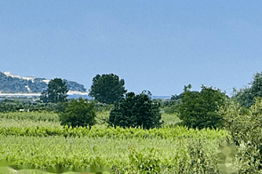 Драгонья, дом