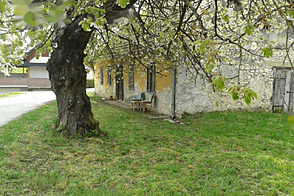 Усадьба, хозяйство Тополы, Текачево.