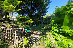 Трёхкомнатная квартира в Шмарье