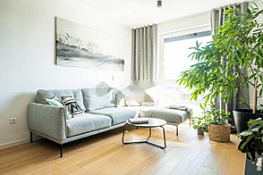 Квартира с двумя комнатами в Шишке.