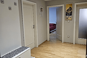 Квартира с тремя комнатами Лубляна Шишка