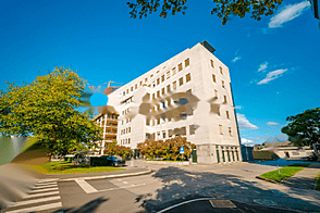 Торговый объект Шишка