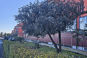 Жилье с одной комнатой в Копере