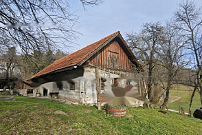 Берёзовая - поместье, ферма.