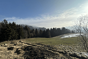 Владение, усадьба Каменная Гора.