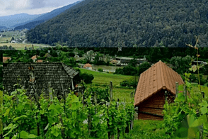 Сотеска, дом