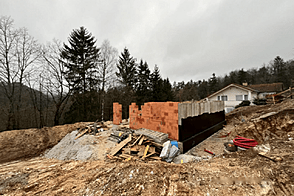 Двухквартирный дом Бесница