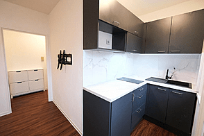 Жилье в Новом Шентвиде