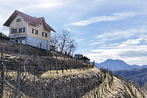 Планско, дом