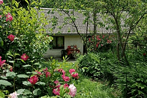 Здание с атриумом расположено в Ново Ньивице