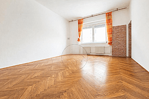 1-комнатная квартира Новая Шишка