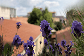 Четырёхкомнатная квартира в центре Копера