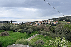 Дом у побережья с обзором на оливковые деревья