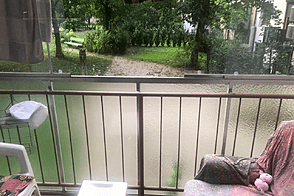 Трёхкомнатная квартира на улице Алесовчева.