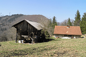 Особняк, хозяйство Мария-Река.
