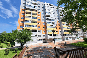 Дом в Ново-Лjubljana, Шишка
