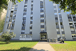 Квартира с тремя комнатами Шишка