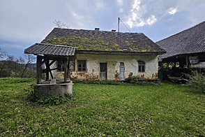 Дом, Черешневец