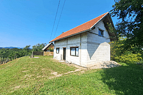 Дом, Грушковец