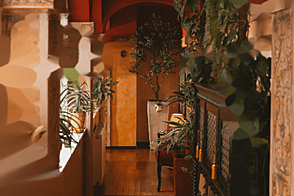 Квартира с четырьмя комнатами в центральной части Любляны