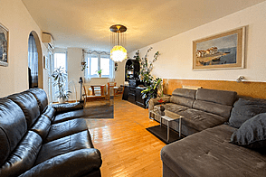 2-комнатная квартира, ЛШ Шишка