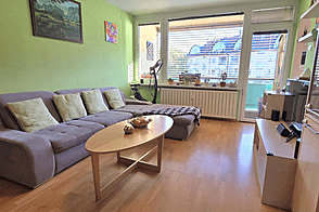 3-комнатная квартира Шишка